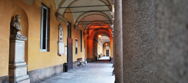 Pavia university